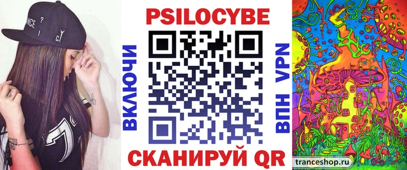 Псилоцибиновые грибы Psilocybe  Купить закладки  Новошахтинск 